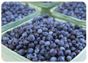 Wild Blueberries