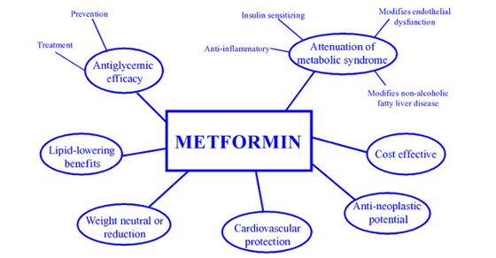 metformin-uses