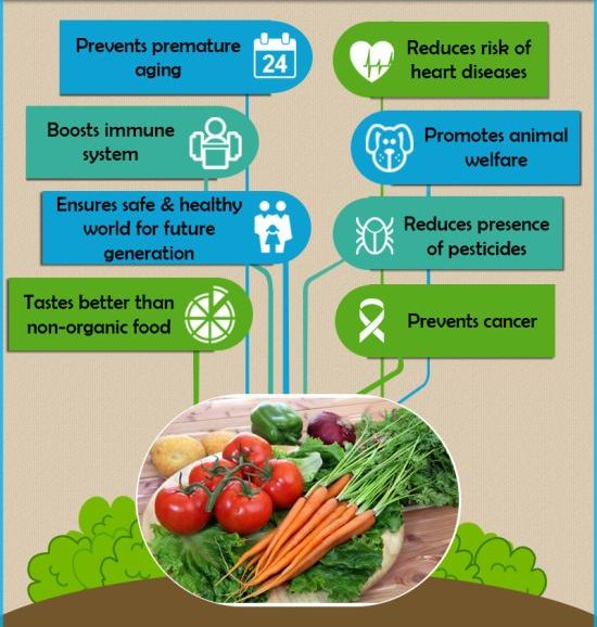 How To Use These Organic Meals Ideas To Avoid Wasting Cash And Eat Higher 2